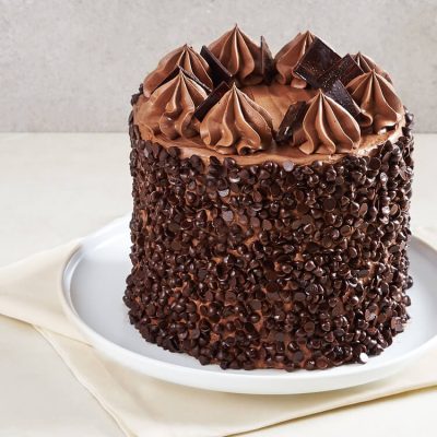 Ultimate 12 Layer Dark Chocolate Cake